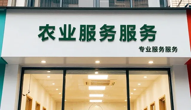 提升作物产量的种苗使用与维护建议